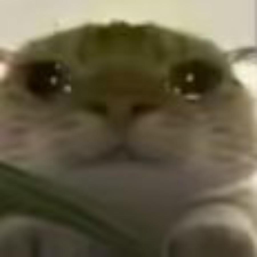 哈哈