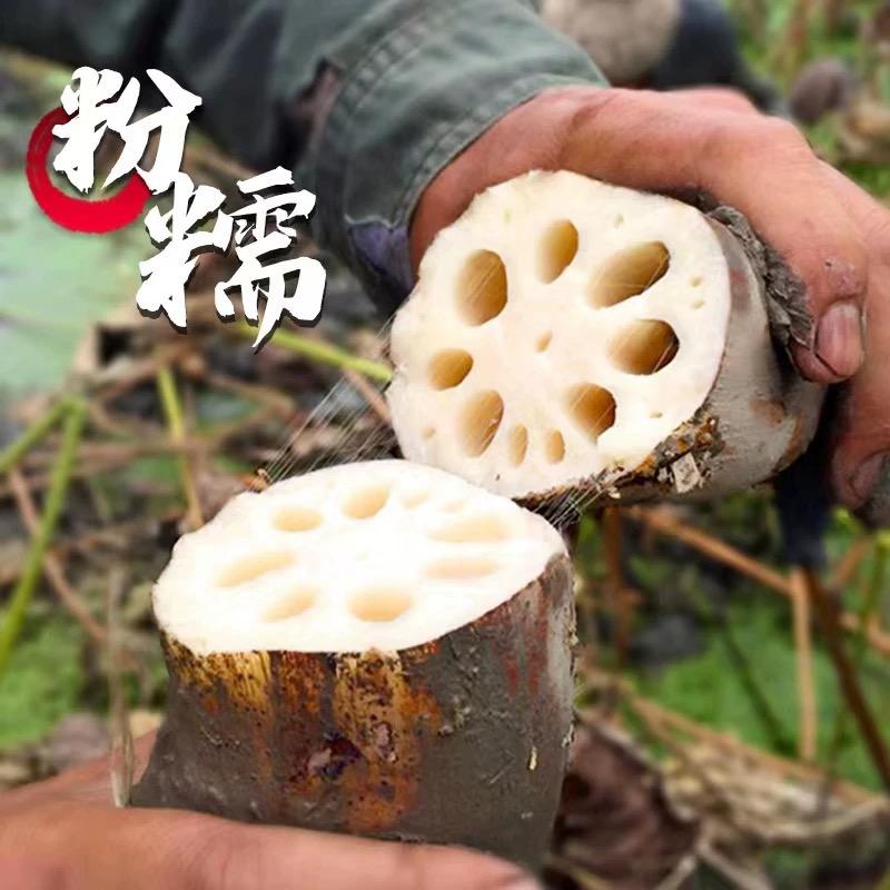 洪湖乡愁