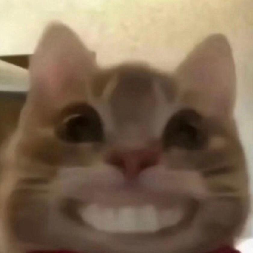 喜欢小狗
