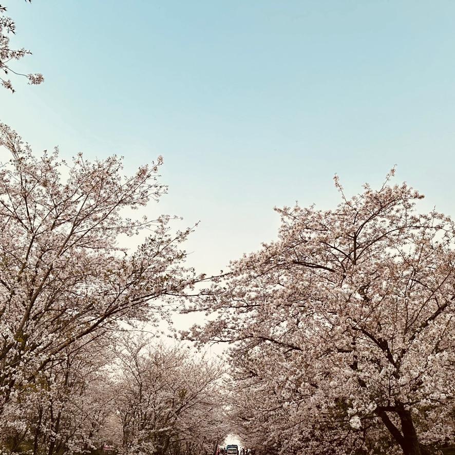 新鸿五金百货新鸿（大大点）直播号