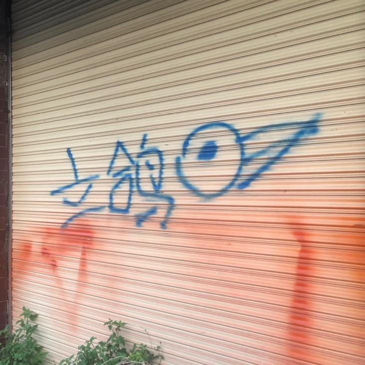 Aa立鸽