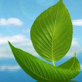 大方的