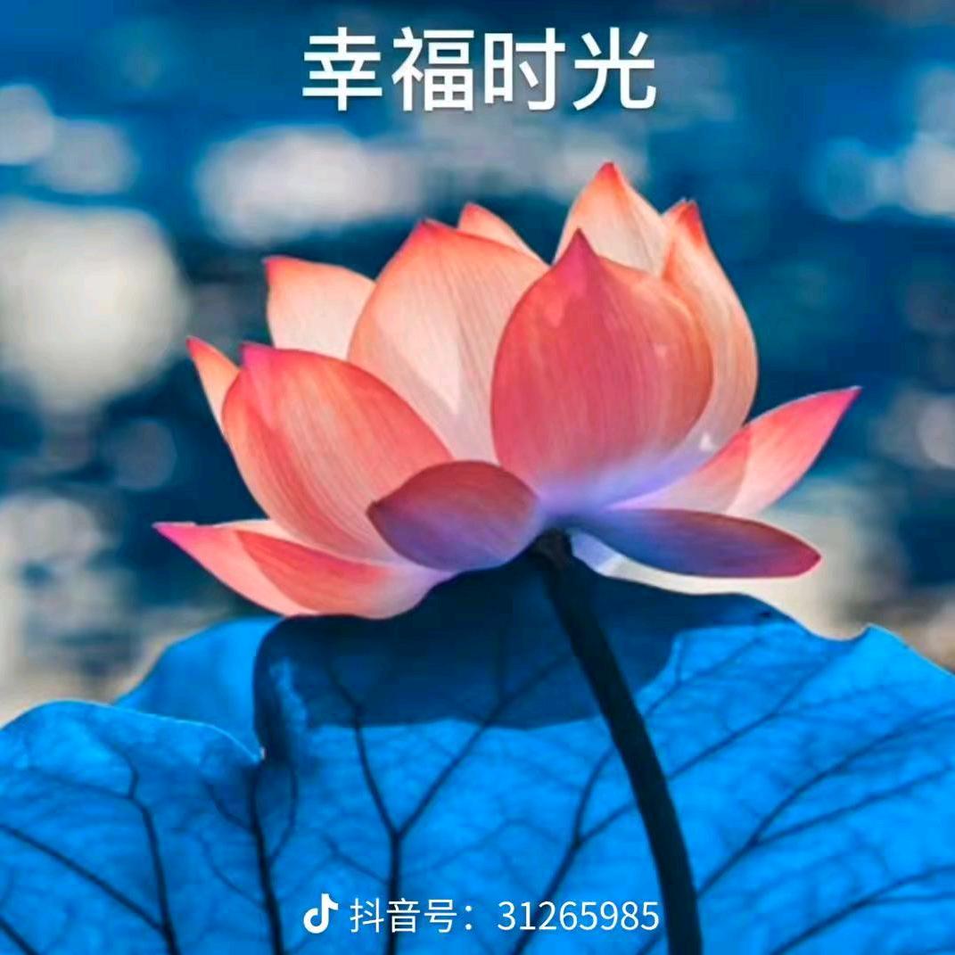 尹显玉