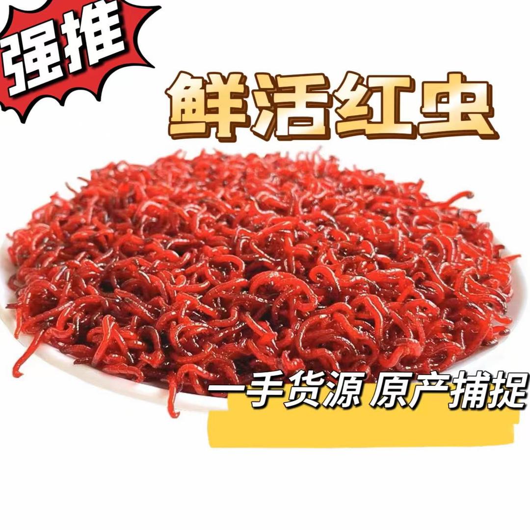 多多红虫店铺