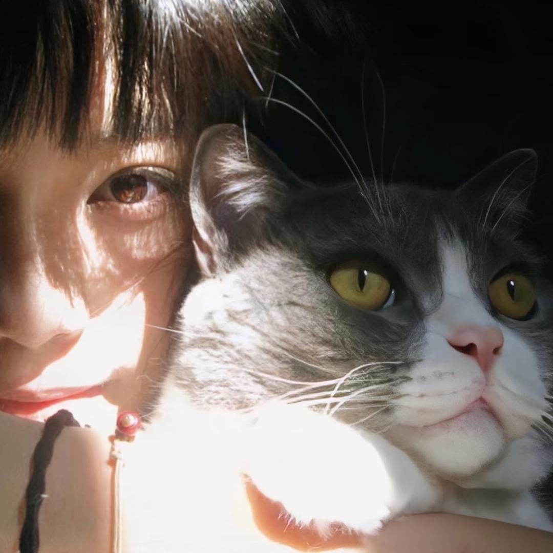又一年冬