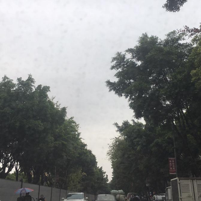 我是真的很喜欢这个