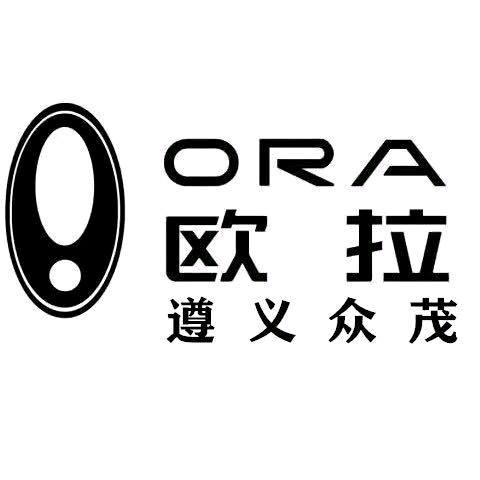 欧拉ORA遵义众茂