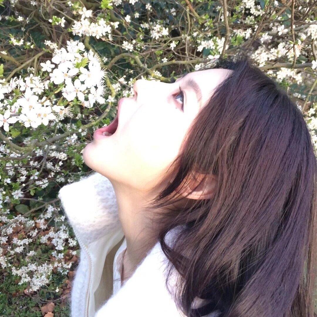 辉辉趣玩