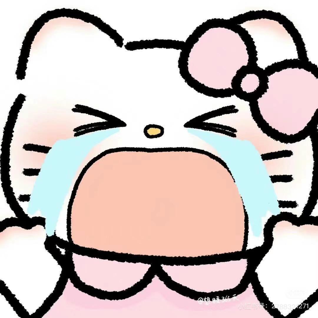 kt小猫