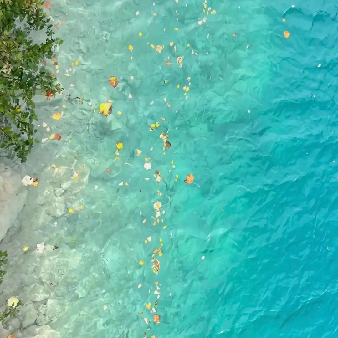 花花生活百货店