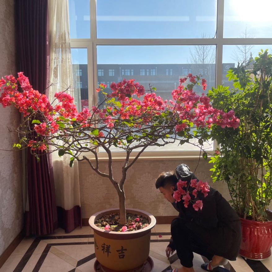 大贸貂皮（二手貂皮化事人）