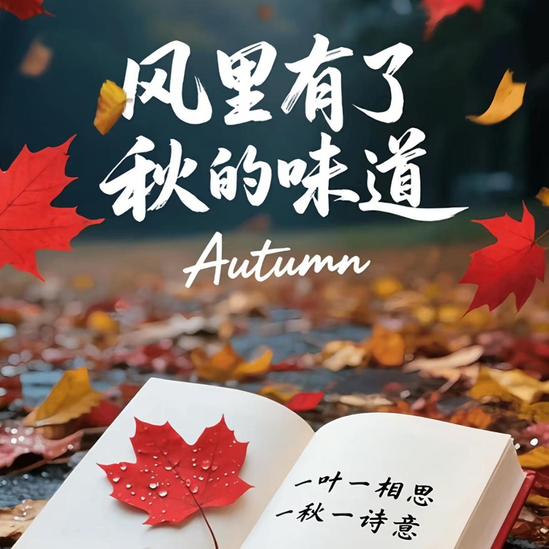 初中数学📐