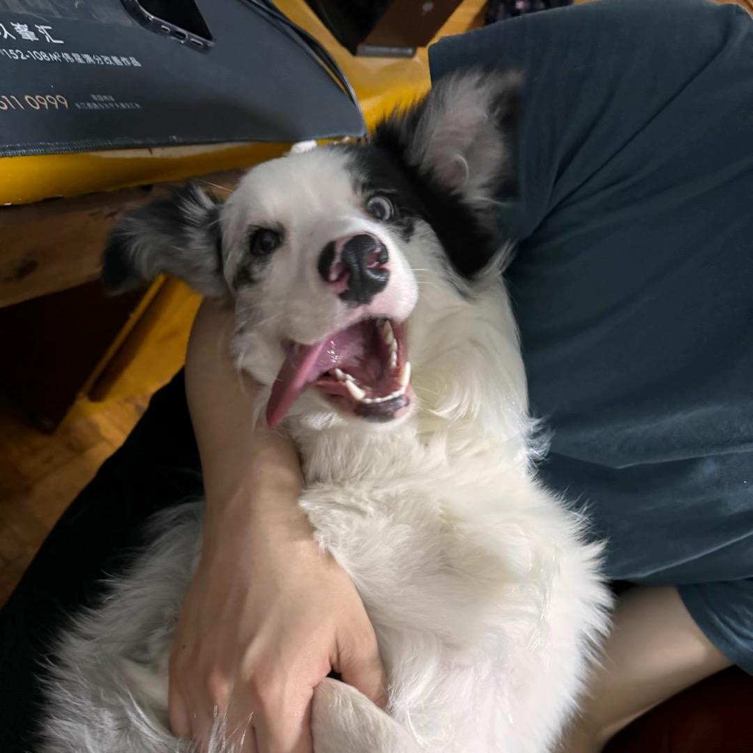 可以睡个好觉吗