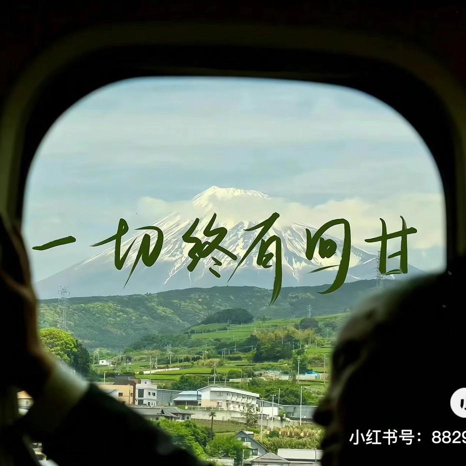 我的解放之路