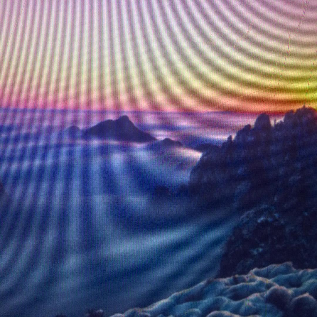 海南瓦特传媒有限公司