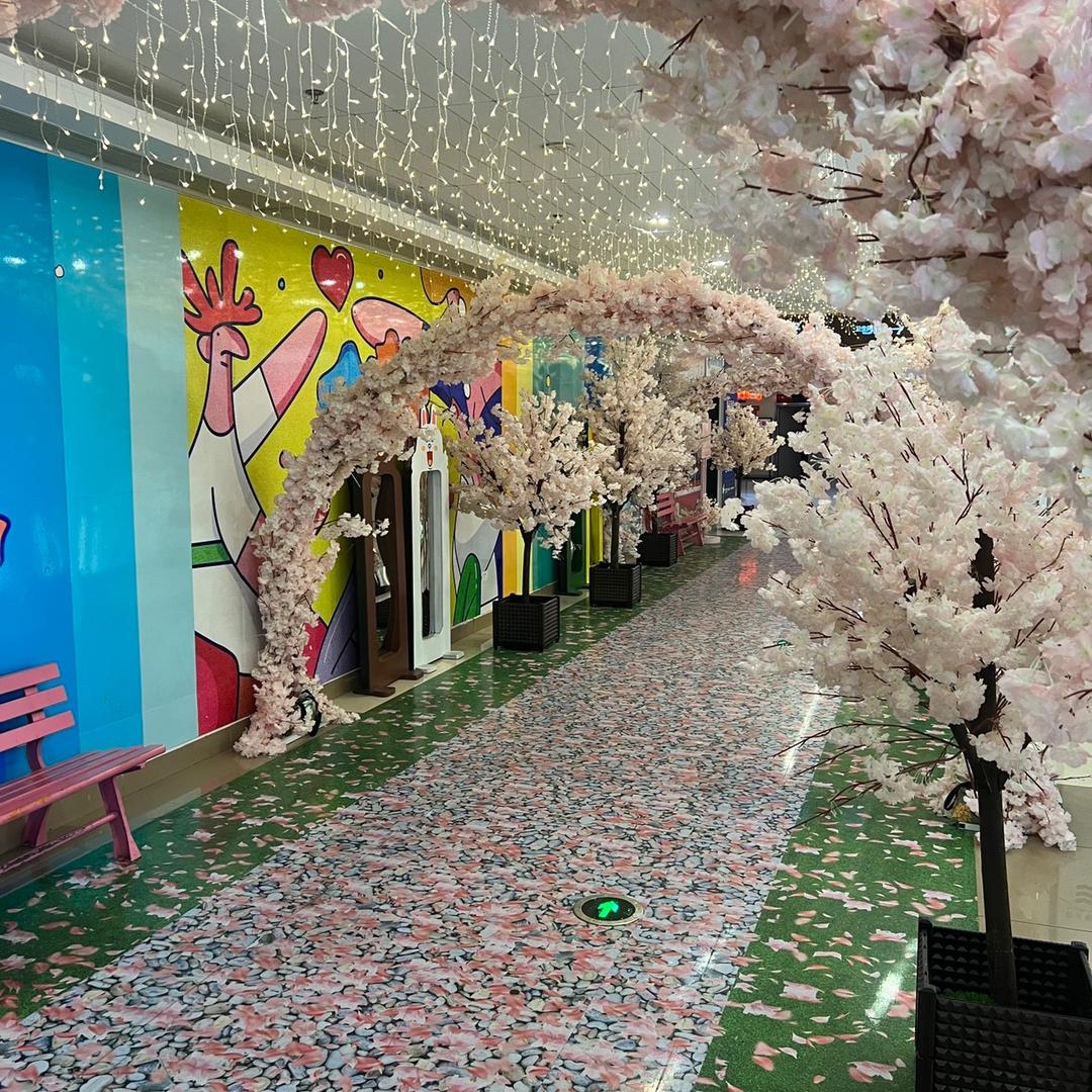 十五～好运连连