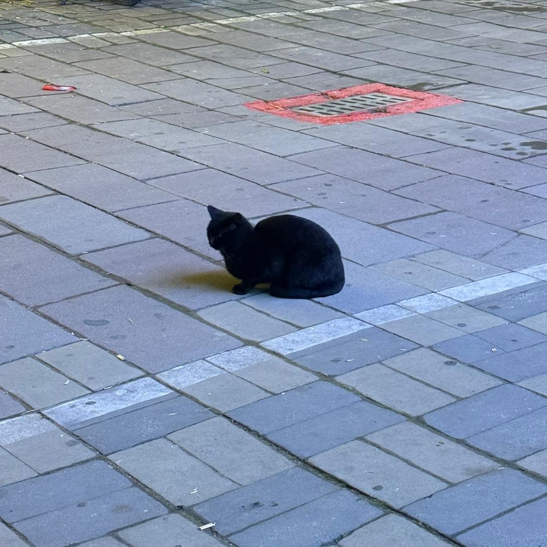 毛小毛小毛小毛