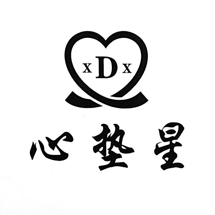心垫星