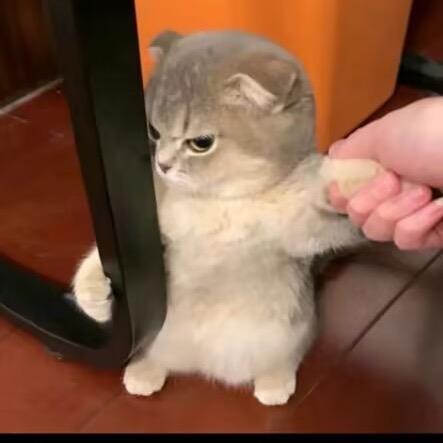 是否灬