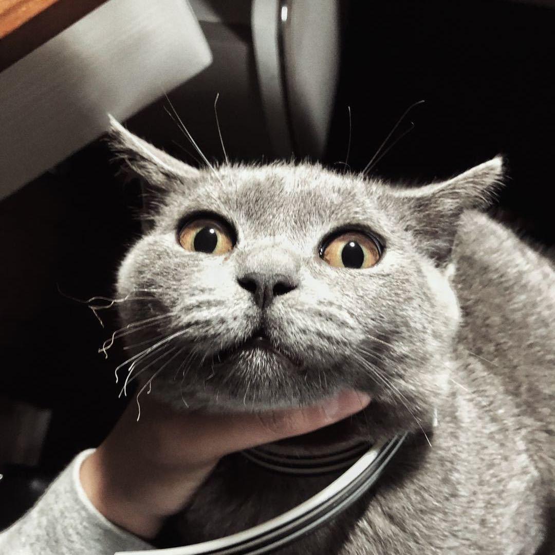 许锡成