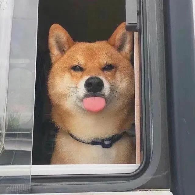 徐苏ssssssss