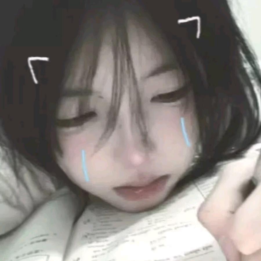 龙猫🍏梨子酱