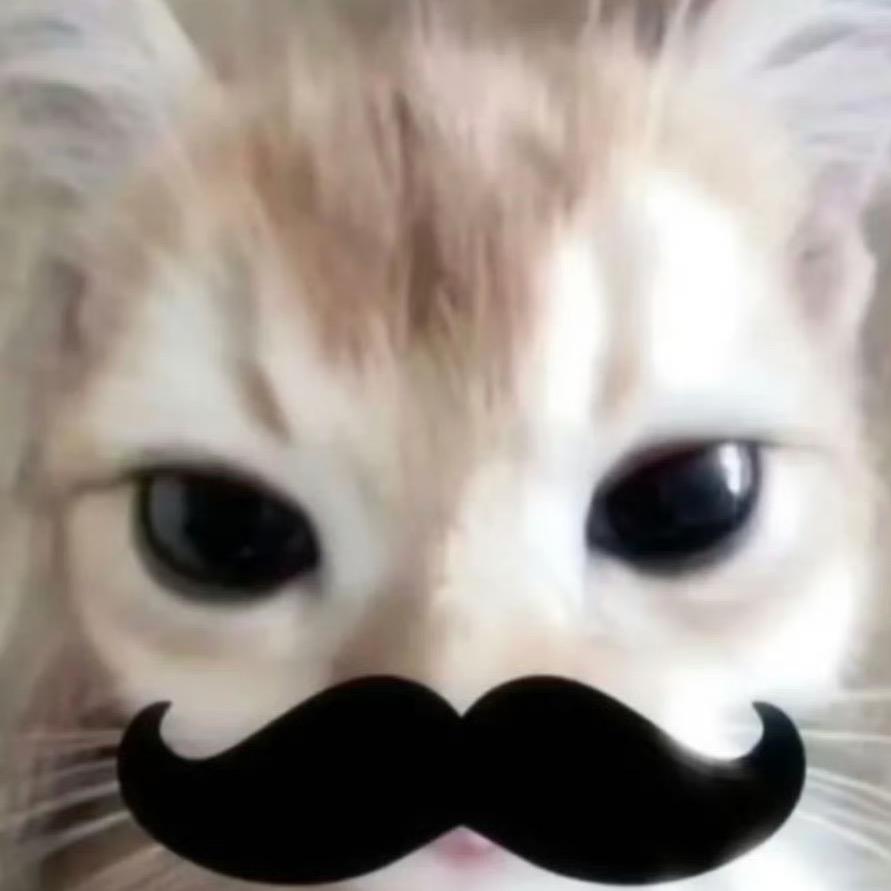 木木叁（假装大人版