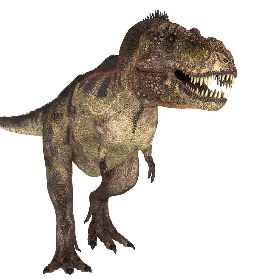 嗷吼嗷吼嗷嗷嗷嗷……🦖