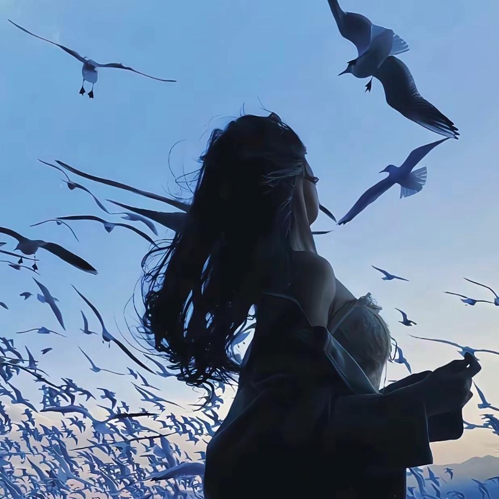 胶州电商小（七)