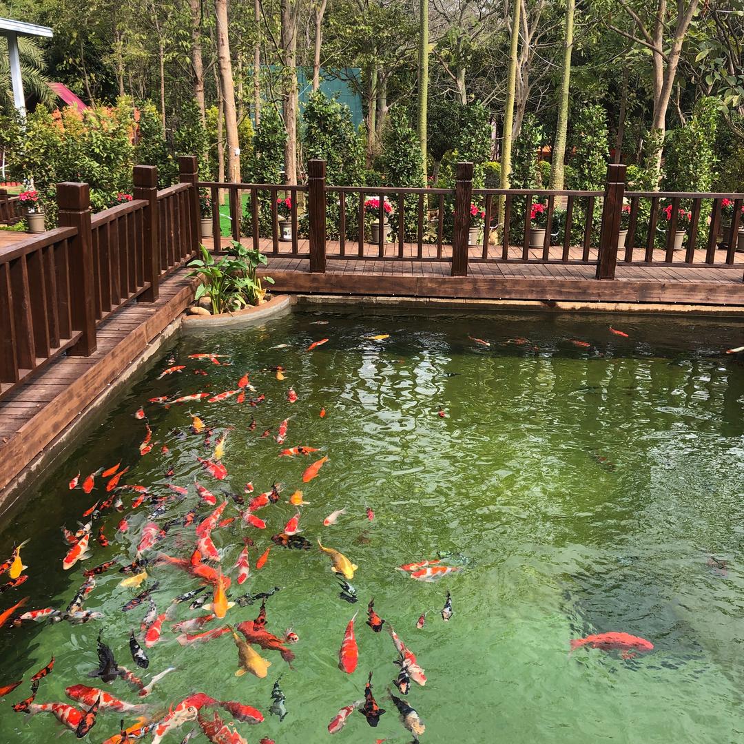 彤瑞花园烧烤