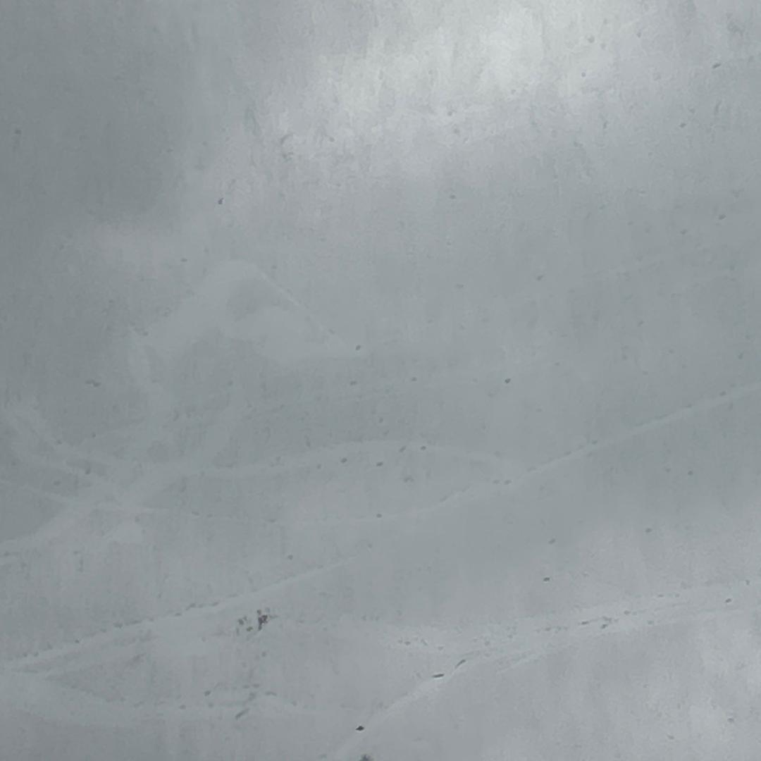 悦盛烟酒商城(万科天地新源大街27号院店)细细的直播号