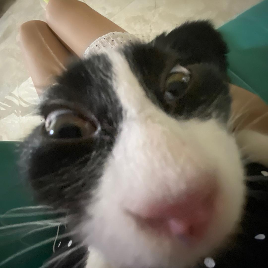 有人吗