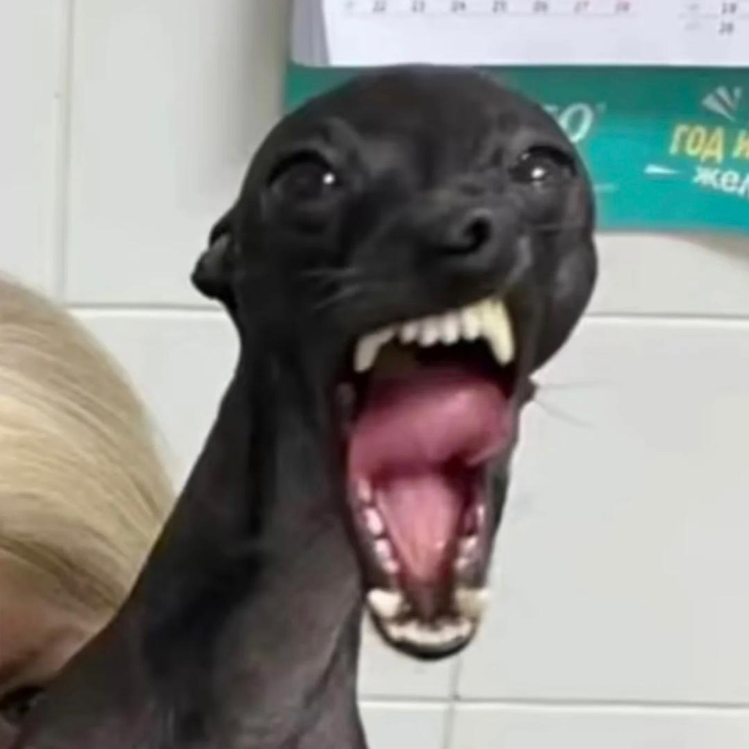 点点·