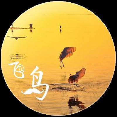 飞鸟侃剧