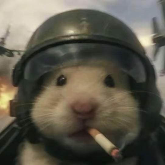 长安大学可乐学长