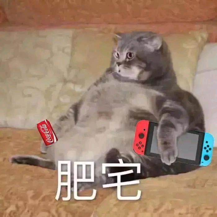 🌈时玥灵🌈
