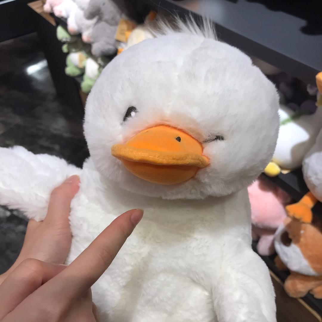 喵喵中古杂货铺