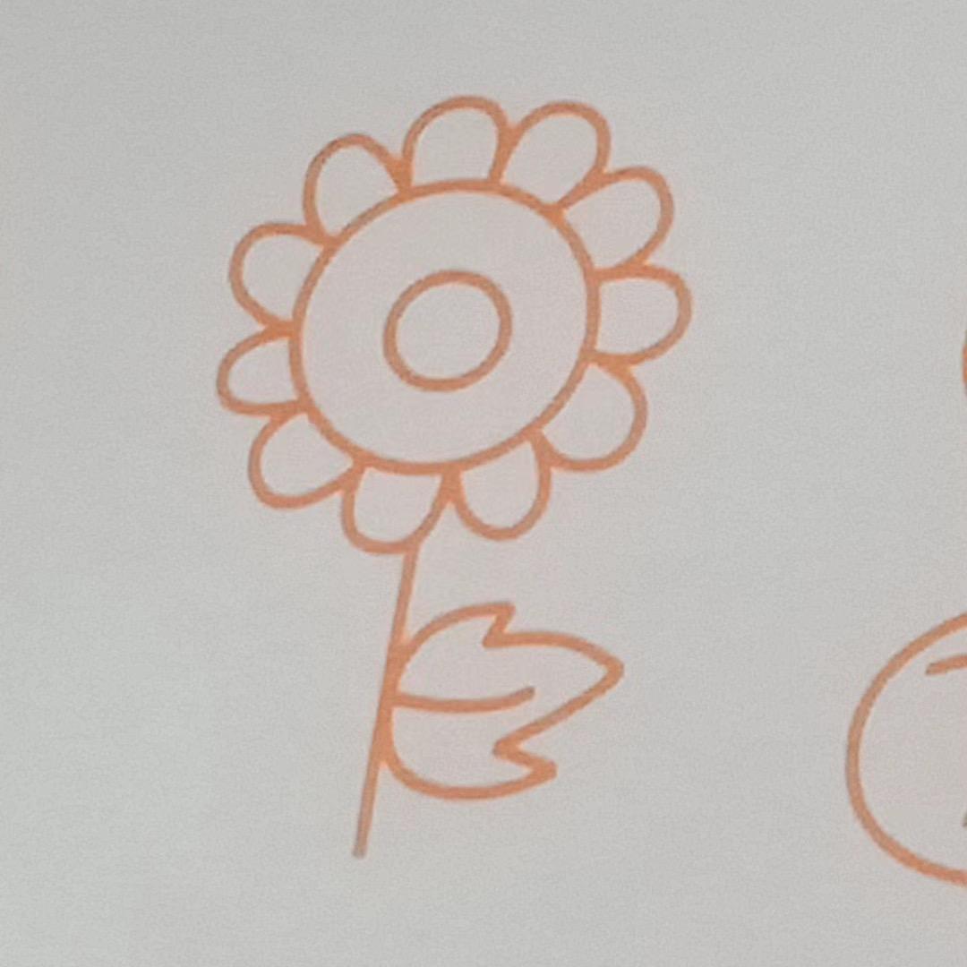 一朵小花花(玻璃缸养蝉宝)