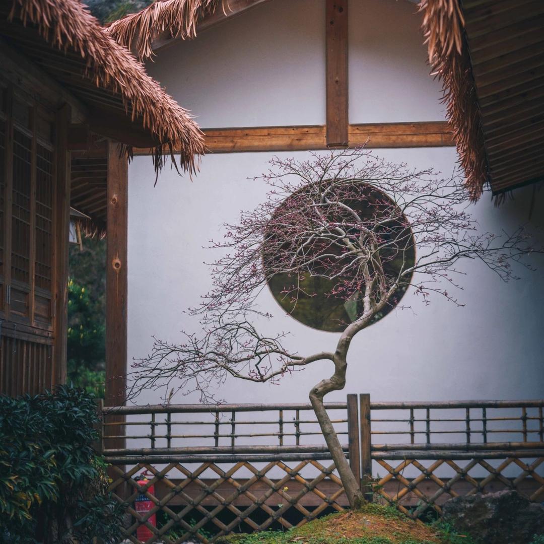 一帆风顺1