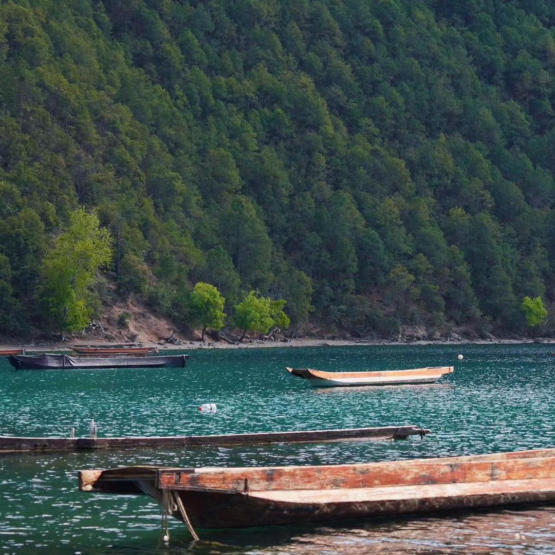 嘉妞儿的理想生活