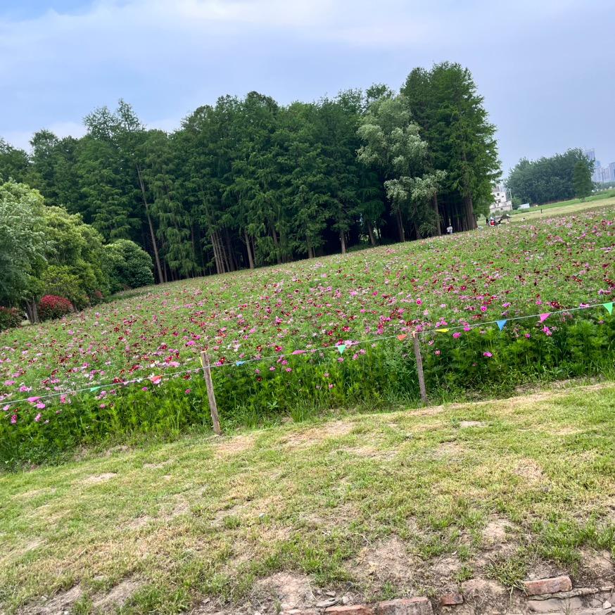 海易芯