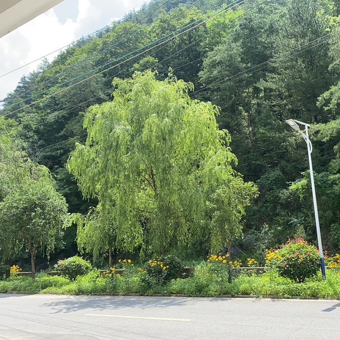 水月居农家乐