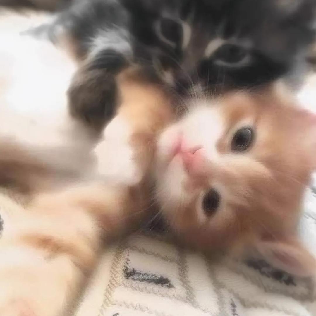 Ooo