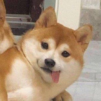 Goodn头像