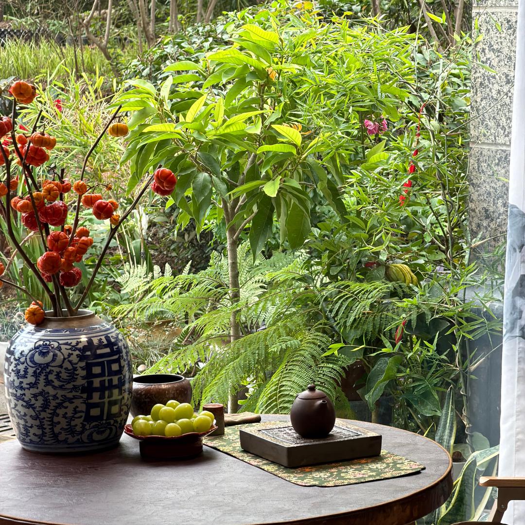 茶小芽🌱.信阳毛尖