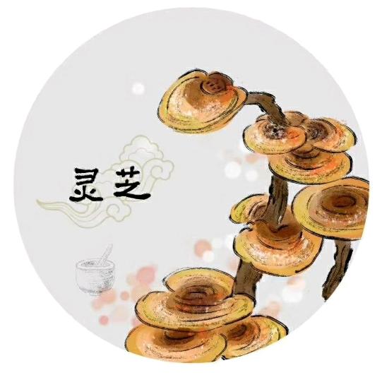 aa柱子