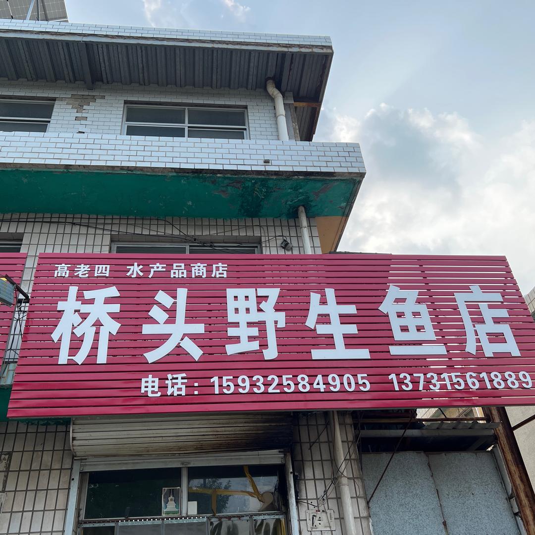 高老四桥头野生鱼