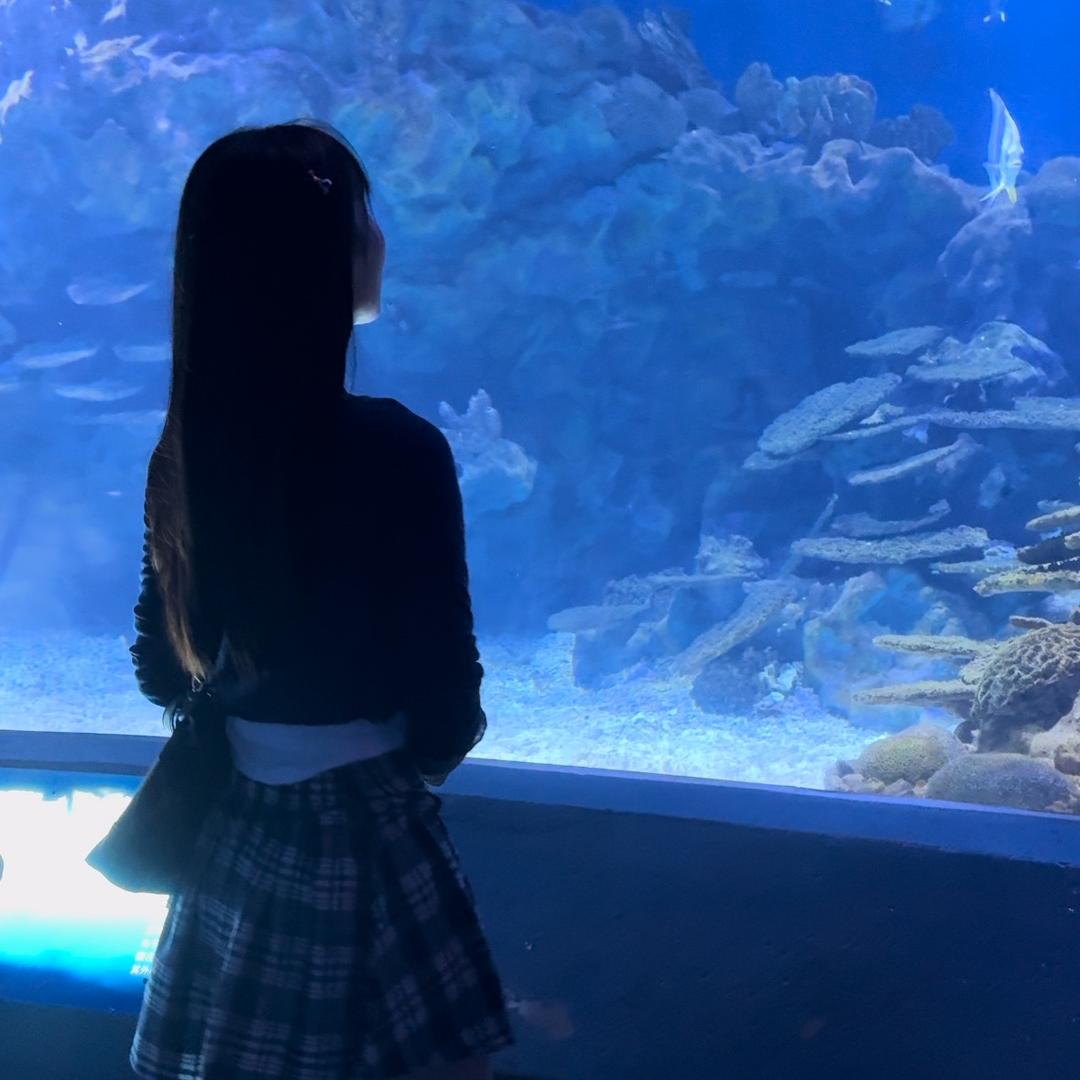 妹妹4号小铺