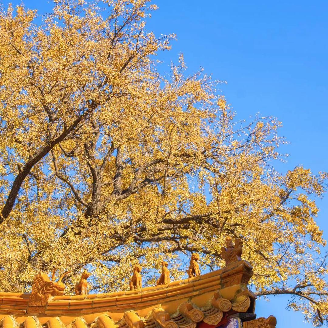 悦心读书