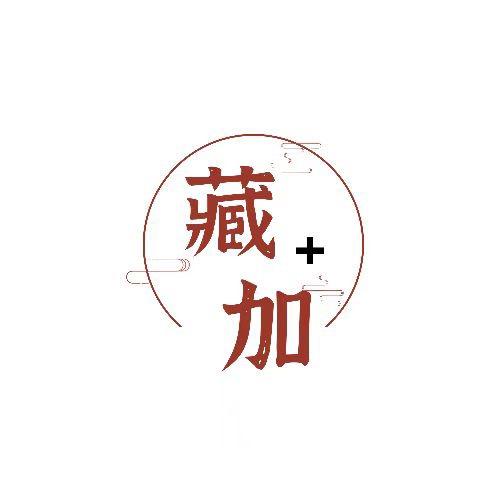 上海藏加文物商店直播